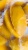 Манго замороженное половинки 1 кг FRUITEX, кор 12 кг